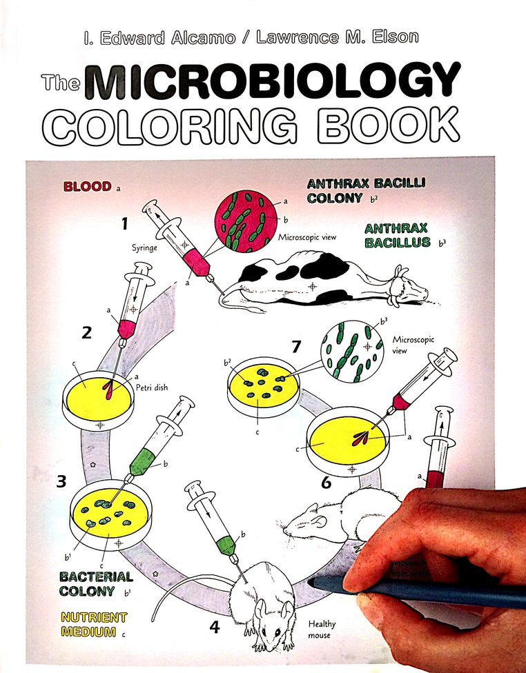 Add a little colour(ing) to your life